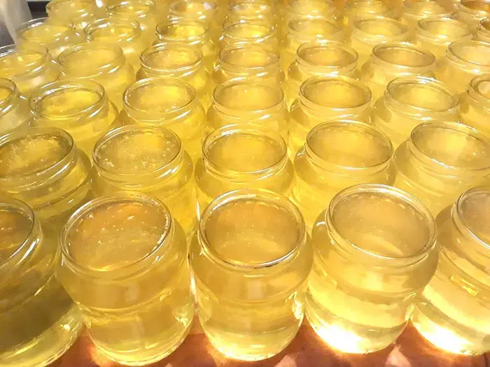 Miere de salcâm pură – Stupina Buniculu