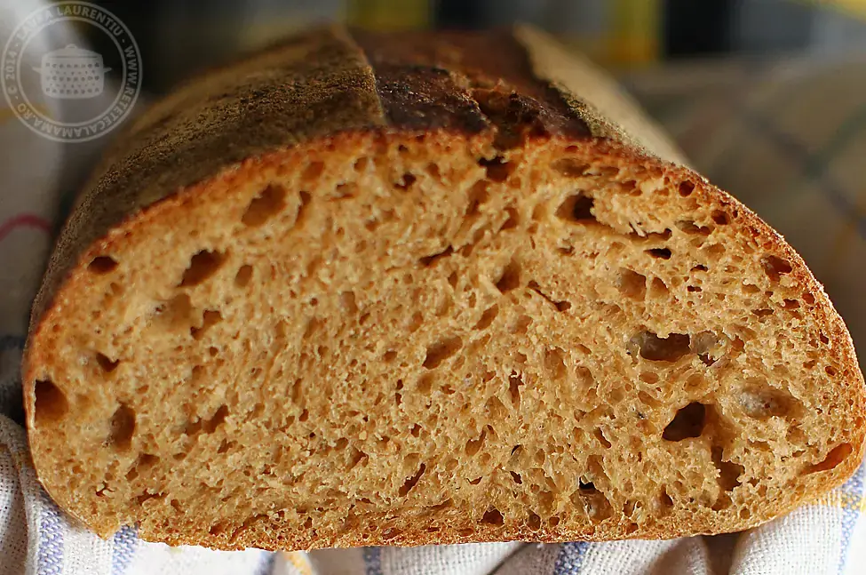 Pâine cu maia naturală – Coptă în cuptor de lut