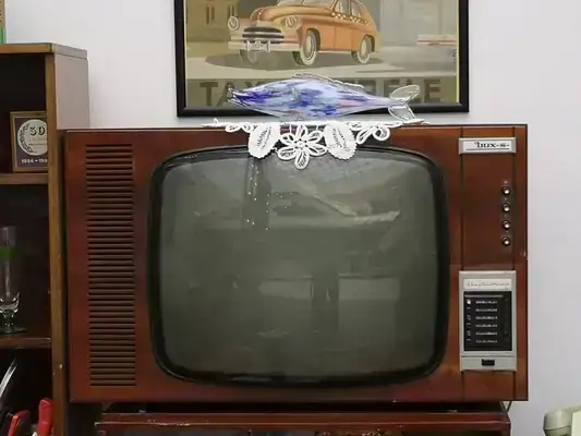 Categorie Nostalgie - Vecinul