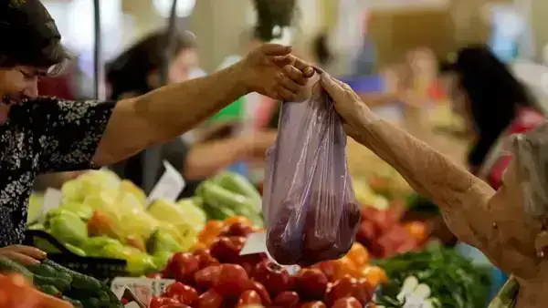 Categorie Producatori locali - Vecinul